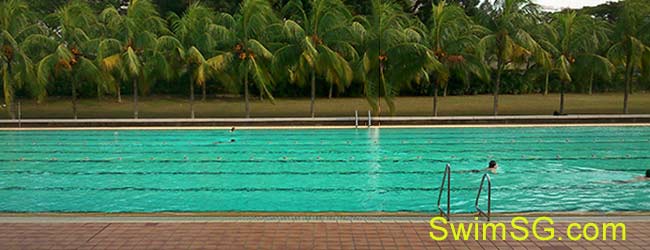 SwimSG.com - Swimming lessons at Singapore Club Pool