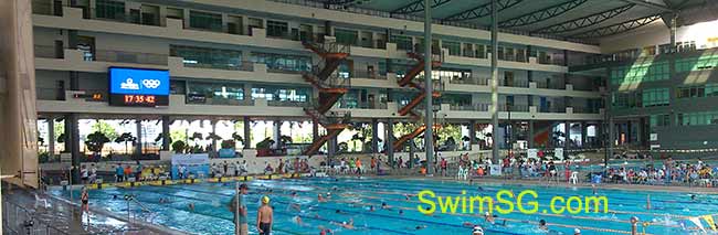 SwimSG.com - Swimming lessons Competitive Swimmer Singapore